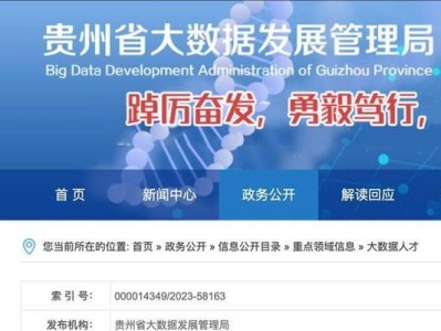 大数据管理局（以大数据为核心，构建高效可靠的数据管理体系）