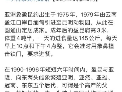 以盈象资产（深度分析以盈象资产的投资策略与业绩，揭秘成功背后的关键）