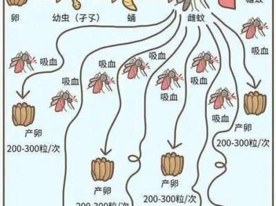 利用土方法去除跳蚤（简单有效的家庭土方法解决跳蚤问题）
