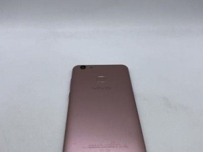 全面解析vivoY79手机的优势与特点（vivoY79手机的性能、拍照、外观和价格一览）