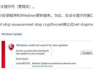 电脑拍照显示错误代码解析（探寻电脑拍照过程中常见错误代码的原因与解决方法）