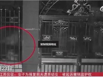 2017数码师（数字化时代背景下的就业前景与挑战）